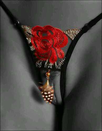 Iam a man , just want to enjoy, make friends, no hard felling pls love to lick G spot