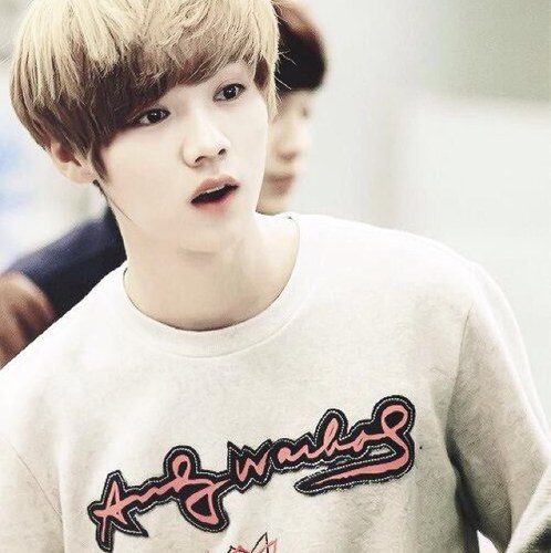 ผมลู่หาน คนแก่หน้าเด็กจากEXOครับ เห็นหล่อๆงี้ผมมุ้งมิ้งมากนะ(?) มาคุยกับผมนะ~^__^ *โปรยจูบ* สนใจเข้าแฟมติดต่อ @_luhanmm , @_minhyukmm , @_hyukjaemm #มุ้งมิ้งแฟม
