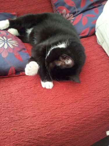 JesRusling's profile picture. 