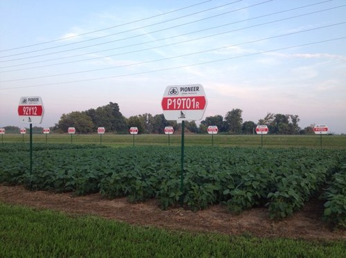 CropTechLtd's profile picture. A Pioneer Hi-Bred Dealer. Principals are Dave Gowland and Greg Kitching