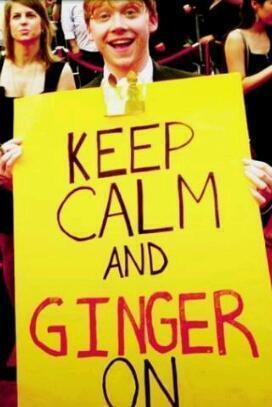 carolijn_vs's profile picture. Ginger,14 years old, Potterhead, Tribute.Divergent.Katniss, Harry, Ron, Primrose,Hermione, Luna, Ginny, Tris, Four, Neville and Gale are awesome.