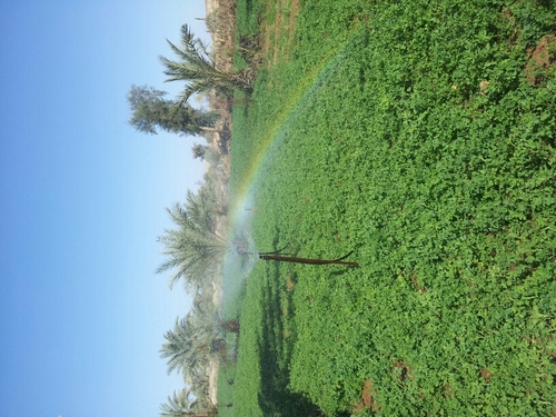 abdmn75's profile picture. 