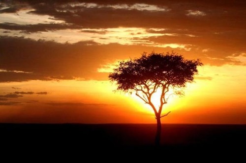 fellowstone_'s profile picture. 