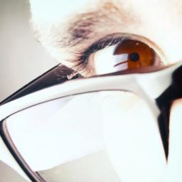 Community Manager, Ex-Preimpresor y Diseñador Gráfico | CFGS DAW | CFGS Marketing y Publicidad | Trabajando en SEO | Amante de la Cultura Japonesa.