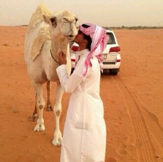 آبدع في سماء الإنشاد اذهل بِصوته الراقي كل مايتعلق بَ لمنشد فيصل المداريه تجدونه هنآ فهذا الحساب الرسمي ل دعم منشدنا قائم عليه مجموعه محبت فيصل المداريه.
