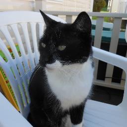 cgrnsld's profile picture. retired due to ill heath