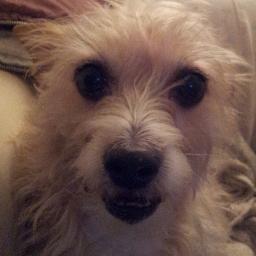 fmframolo's profile picture. Coordinador en FCB Merchandising s.l