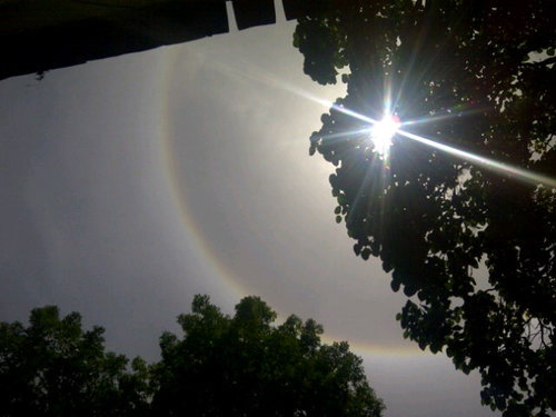 franknml70's profile picture. 