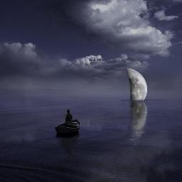 mehsu44's profile picture. 