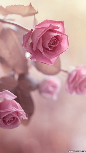 smitpatel1724's profile picture. 