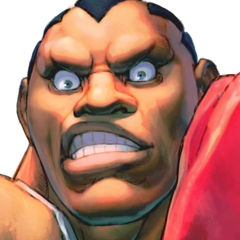 Cnce a great boxing champion and prize fighter. I was banned from boxing for permanently injuring my opponents. so I joined the Shadoloo criminal organization