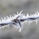 Bob Currie - @agrilogic - Twitter