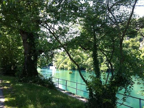 Température du Rhône à Genève