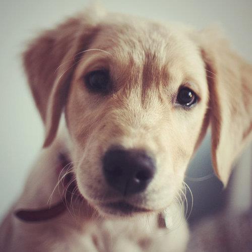 prch_bt's profile picture. 