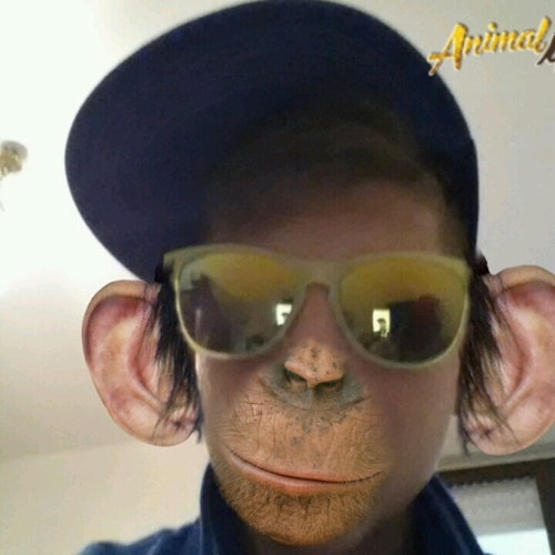 MichaelTangone's profile picture. OFFICCIAL FOOTBALL PLAYER OF TANGONE