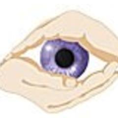 Lerner Eye Center is a complete Refractive practice providing the full spectrum of refractive procedures to allow you to see clearly. Reach us at : 8669383029