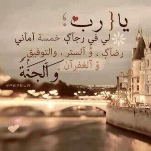 الحظ صديقٌ غبي لذا فهو كثيراً ما يرافق الــــ : بخلاء ! بنسبة ٩٥٪ مما اكتبه لا علاقة لي به سوى انه استحق اعجابي ..