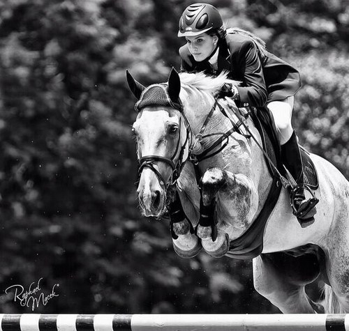 EastCoastEq's profile picture. Equestrians speak a different languge, a language built in silence. http://t.co/V2IvNyhsIR