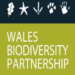 Wales has a wealth of wildlife and natural environments that support and enrich our lives. Croeso i Bartneriaeth Bioamrywiaeth Cymru! RTs are not endorsements.