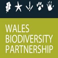 Wales Biodiversity (@wbp_wildlife) Twitter profile photo