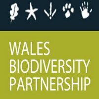 Wales Biodiversity(@WBP_wildlife) 's Twitter Profileg