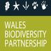 Wales Biodiversity (@WBP_wildlife) Twitter profile photo