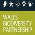 Wales Biodiversity (@wbp_wildlife) Twitter profile photo Wales Biodiversity (@wbp_wildlife) Twitter profile photo