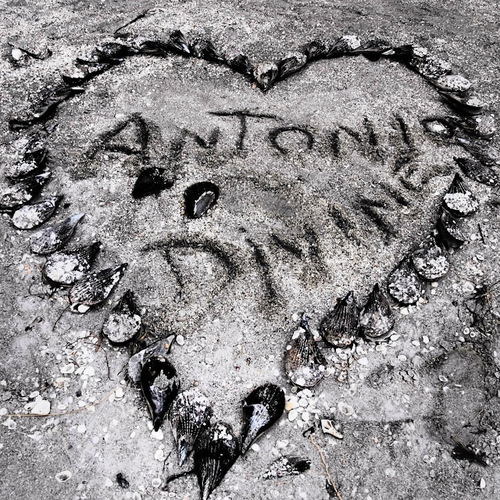 Antonio Divine