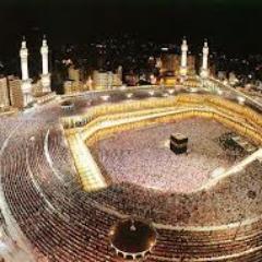 omar_magdy600's profile picture. 