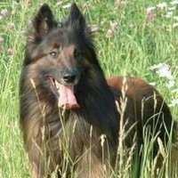 El Cimarron59 (@elcimarron59) 's Twitter Profile