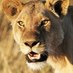 Garden Route SA (@gardenroutesa) Twitter profile photo