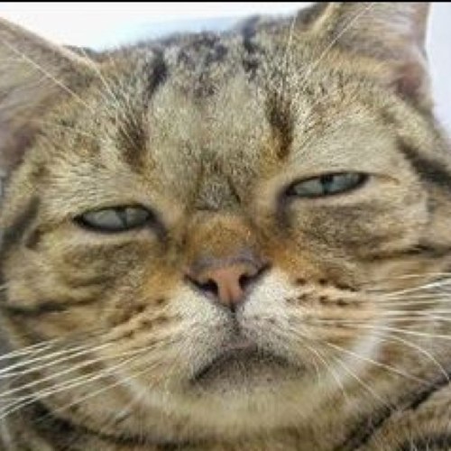 pinokio327's profile picture. サブアカウントです！！完璧自己満のメモ帳。間違ってる可能性あり。