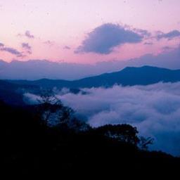 RebelMomCSA's profile picture. Catholic, Southern mom with a sharp political tongue.  I won't lie about American history and expect the same from others.