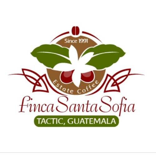 Producing one of the finest coffees with passion in beautiful Guatemala