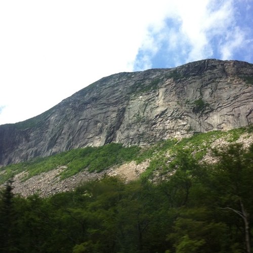 HateAint's profile picture. 