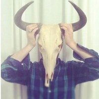David Gordon (@davidgordonx) 's Twitter Profile