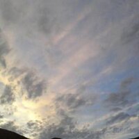 ChemtrailedSkies (@winterivy9) 's Twitter Profile
