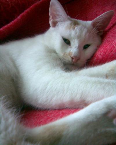 lyulyust's profile picture. VFX Artist 🎮 Formerly: Ubisoft | Ⰾⱓⰱⰵⱀ | 🇪🇺🇧🇬🏴󠁧󠁢󠁳󠁣󠁴󠁿🏴󠁧󠁢󠁥󠁮󠁧󠁿