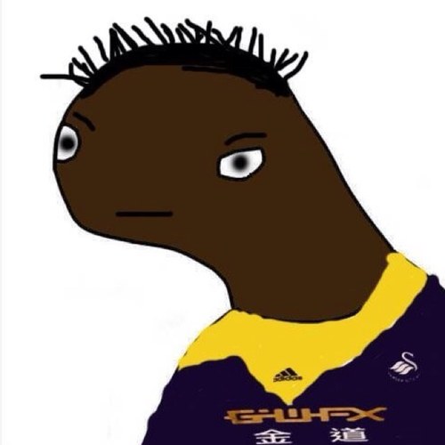Prufreshnul futbol playr fur Swunsea nd teh wurlds best strykar | OFFICIAL PARODY ACCOUNT OF WILFRIED BONY |