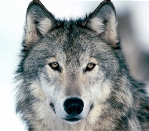 pgaty876's profile picture. 