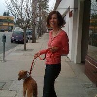 Peggy Mulloy (@peginator) 's Twitter Profile