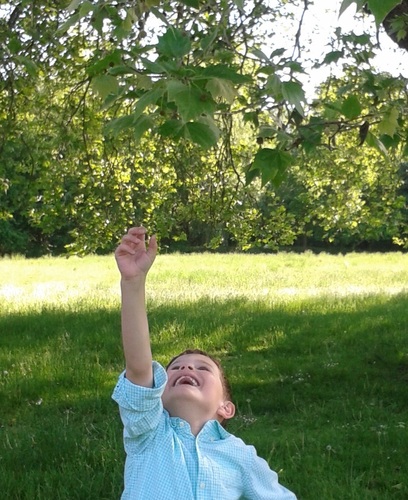 GreenRevCleanin's profile picture. Green Revolution eco-cleaning