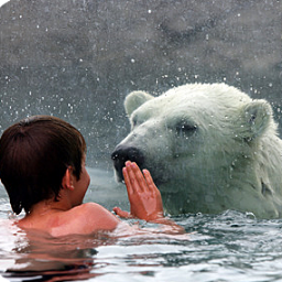 Lowest Property Taxes - Swim with Polar Bears - Appreciating Property Values