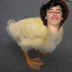 HIIIIIIIIIIIIII FREE FOLLOW Don´t follow this account... please follow @dimpleharreh Thaaaaankkkssss ✌ ✌ ✌ ✌ ✌ PEACE OUT ✌ ✌ ✌ ✌ ✌