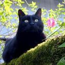 Aaron Kerr - @CallingforDolly - Twitter