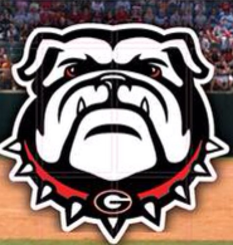 OFFICIAL ATHLETIC FACILITY TWITTER OF THE GEORGIA BULLDOGS. We build it, we paint it, we clean it, we cut it. Maintaining the Homes of the DAWGS