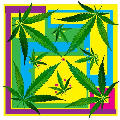 ~ Cannabis_Club~ #stonernation