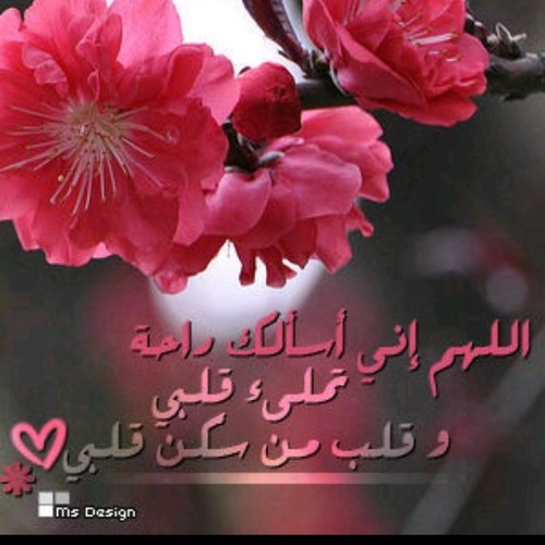 أنا هنا لاستفيد من كل إيجابي