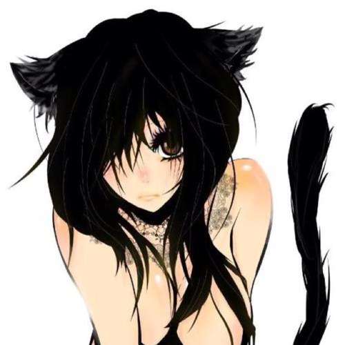 Neko_Claire_'s profile picture. Claire: #RP | #neko | #taken by @ssjgodZane | #shy | son: @WashuHakubi77 owner: @AlternateBroly | Rose: (Rosalie) #vampire | #RP | #single | i love blood