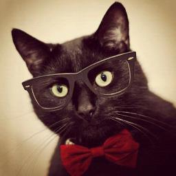 ''Todos los gatos de libros son amigos'' —Cassandra Clare. Blog literario. #AlertaKitten ||  Tweets by @EllieIntheHat